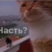 Настя Ты Обиделась