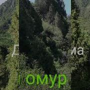 Досторго Калоо Тилек