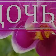 Взрослая Дочь Стих