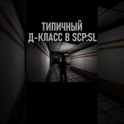 Оранжевая Бедность Scp Sl Мем