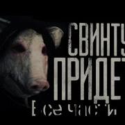 Worldbegemotkot Сборник Частей Свинтус Придет