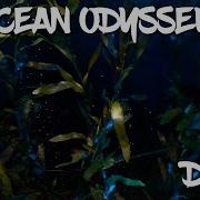 Day 6 Ocean Odyssey