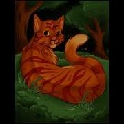 Коты Воители Клипы