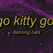 Go Kitty Speed Up