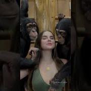 Monkey Kiss