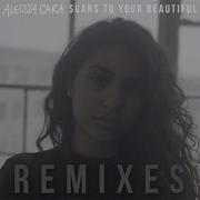 Alessia Cara Scars To Your Beautiful Joe Mason Remix Audio