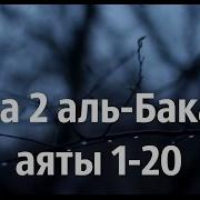 Сура Аль Бакара Аяты 1 20 Зияд Пател