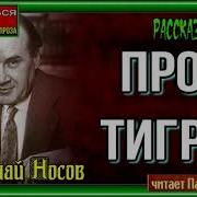 Про Тигра Носов