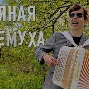 Вячеслав Абросимов Пьяная Черемуха