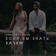 Алексей Чумаков Если Бы Знать Зачем