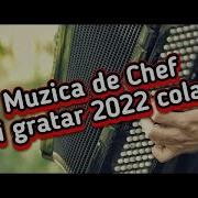 Muzica De Chef Si Gratar 2022 Colaj