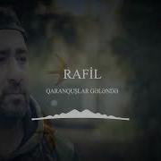 Rafil Qaranquslar Gelende