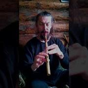 Китайская Электронная Флейта