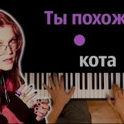 Ты Похож На Кота Караоке