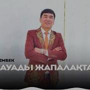 Кар Жауады Жапалақтап