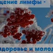 Где Нет Угр Не Мучит Страх Минус
