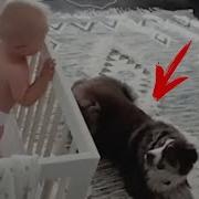 Родители Установили Скрытую Камеру В Комнату Дочери