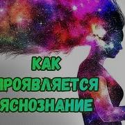 Яснознания