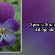Христа Благодать Изберешь Ли Минус