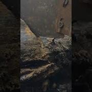Звук Ручной Пилы Дружбы 2