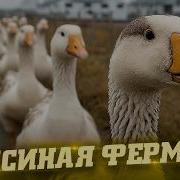 Не Для Тебя Это Сделано