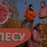 Зажглись Костры Рябины Кпасной