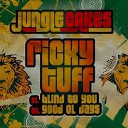 Ricky Tuff Blind To You Original Mix