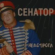 Недотрога Ремикс