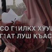 Дал Декъал Йойла Залин
