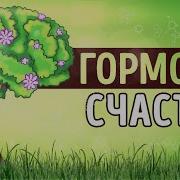 Гормоны Счастья Лоретта Бройнинг