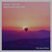 What We Ve Been Waiting For Tim Halperin