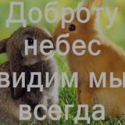 Посмотри Вокруг Христианские Песни Караоке