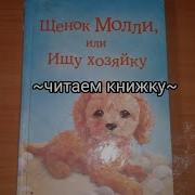 Холли Вебб Щенок Молли Или Ищу Хозяйку