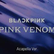 Clean Acapella Blackpink Pink Venom