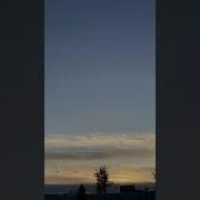 Из Тик Тока Всем Доброе Утро Бездельники