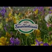 Доместос Реклама Спасайся Кто Может