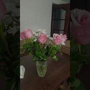 С Днем Рождения Старшая Сестра Песня