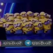Расиядагилар Кайтин