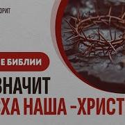 Пасха Наша Христос