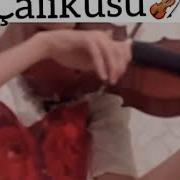 Çalıkuşu Jenerik Violin Cover