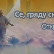 Василий Эдуард Ковальчуки Суламита