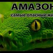 Амазония