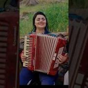 Шахнозаи Рустам Суруди Нав