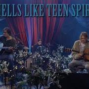 Nirvana Smells Like Teen Spirit Акустика