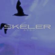 Skeler Id Ivoxygen Lifesyle