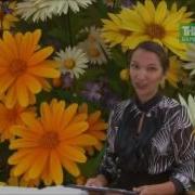 Жырым Булсын Булэгем 30 06 16
