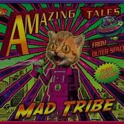 Mad Tribe Mad Robots