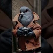 Мем Шпионаж