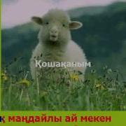 Қошақаным Караоке Минус