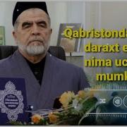 Кабристон Хакида Шайх Мухаммад Содик Мухаммад Юсуф Хазратларининг